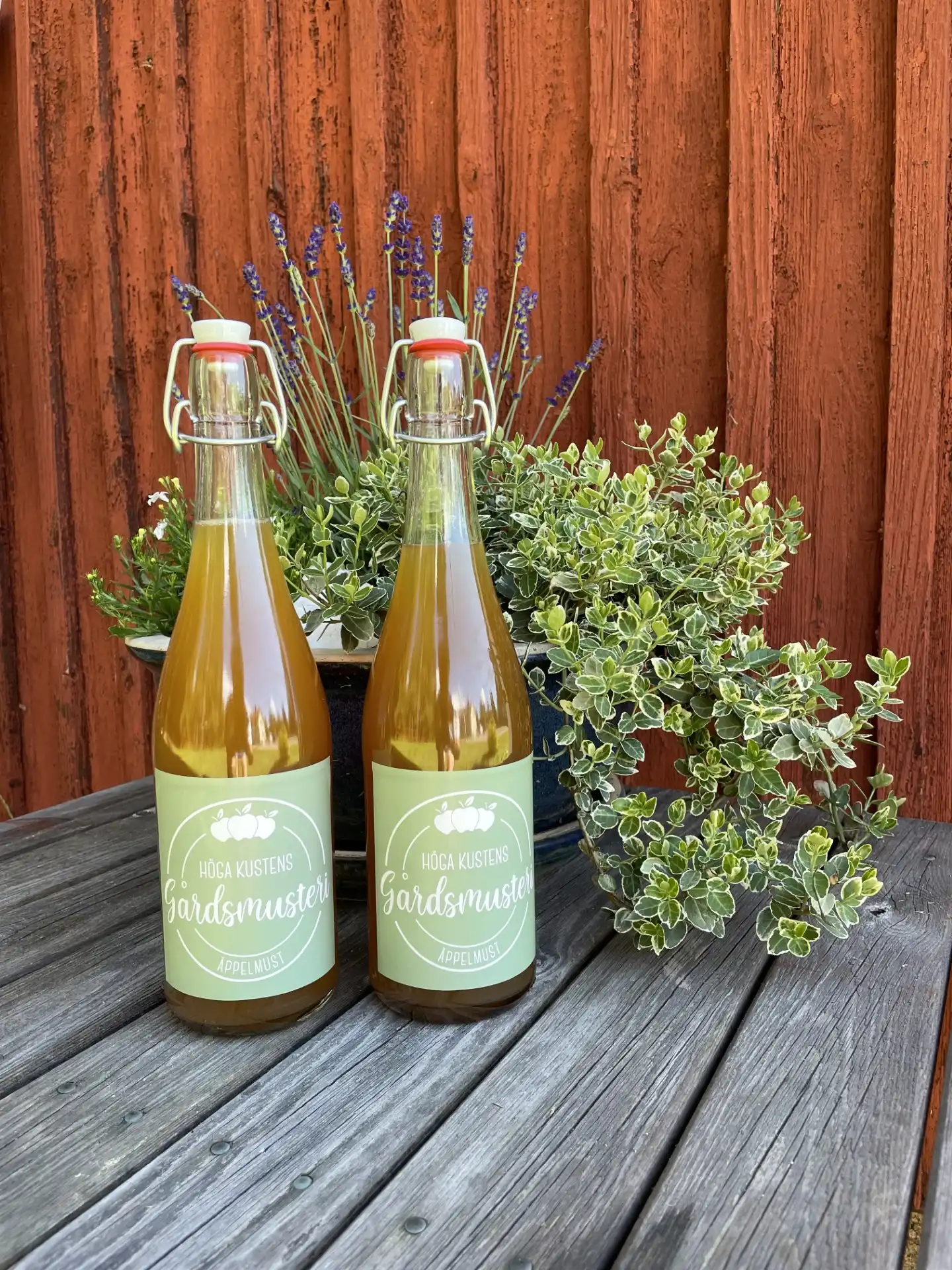 Flaskor med äppelmust